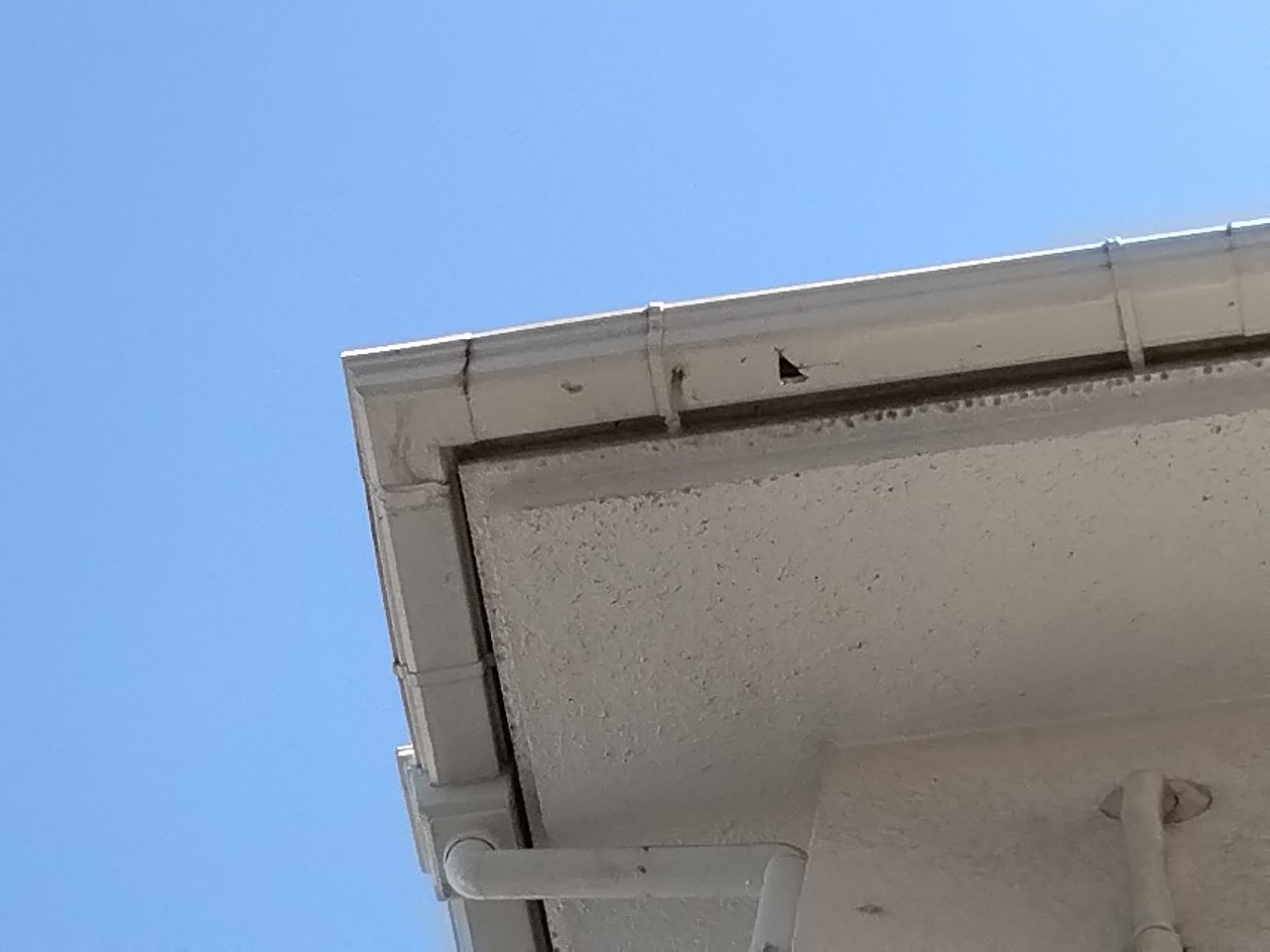 雹害　雨樋(雨とい)火災保険